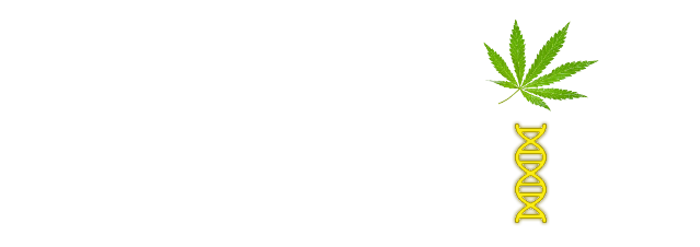 img not found